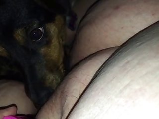 Ely La Bella Xxx Porn
