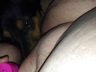 Ely La Bella Xxx Porn