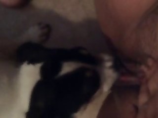 Roman Reigns Xxx Porn