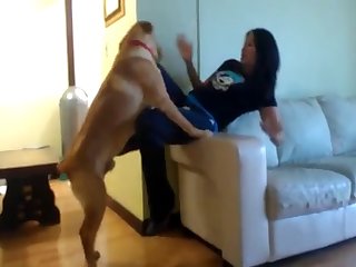 Blacked Porn Star Xxx