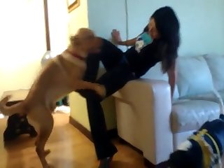 Blacked Porn Star Xxx