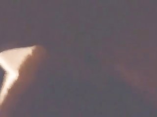 Free Xxx Beast Porn