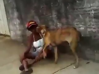 Best Gay Anal Porn Xxx