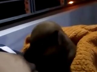 Perfect Retro Blonde Star Porn Xxx