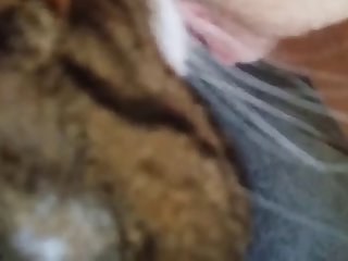 Web Xxx Porn