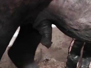 Porn Sex Vedio Xxx