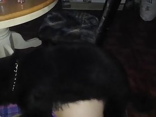 Amateur Beach Sex Porn Xxx