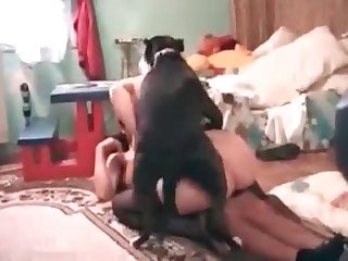 Beauty And The Beast Xxx Porn