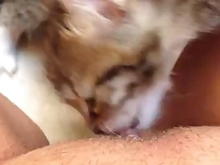Most Beautiful Stars Anal Porn Xxx