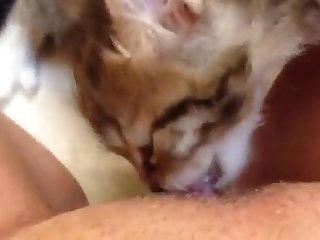 Most Beautiful Stars Anal Porn Xxx