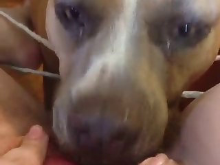 Pack Casero Xxx Porn