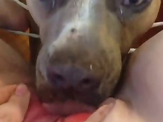Pack Casero Xxx Porn