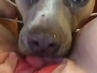Pack Casero Xxx Porn