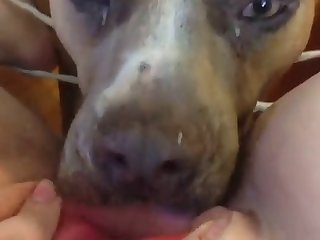 Pack Casero Xxx Porn