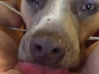 Pack Casero Xxx Porn