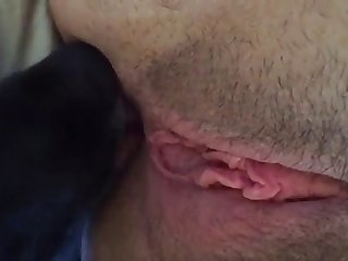 Marilena Di Stilio Xxx Porn