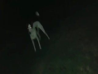 Sexo No Caminhao Xxx Porn