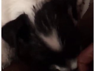 High Sex Porn Xxx