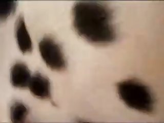 Dead By Daylight Spirit Xxx Porn