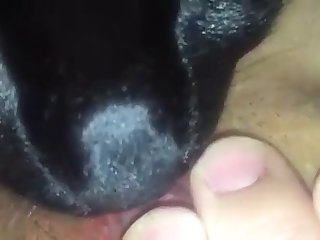 Lily Dior Xxx Porn