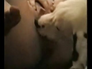 Amateur Cuckold Porn Xxx