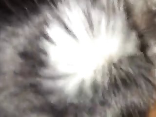 Jenny Hanna Xxx Porn