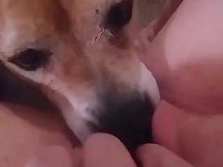 Debora Fantine Xxx Porn