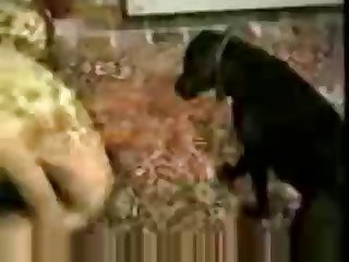 Video Free Porn Xxx
