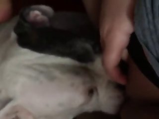 Stepbrother Xxx Porn