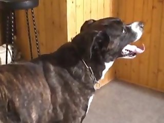 Preeti Rana Ho Xxx Porn