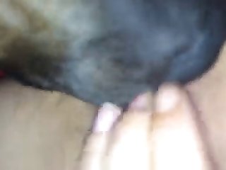 Samiya Hijab Porn Xxx
