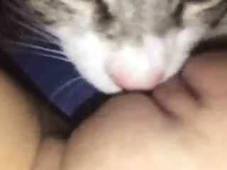 Xxx Hd Cute Porn