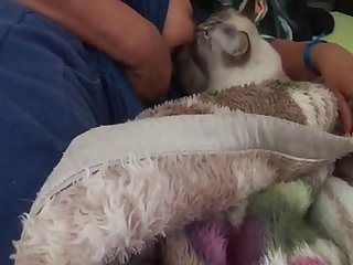 Taylor Swift Ai Nude Xxx Porn