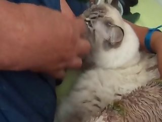 Taylor Swift Ai Nude Xxx Porn