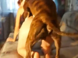 Hollywood Porn Xxx Video