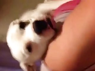 Xxx Full Hd Porn Sex Videos