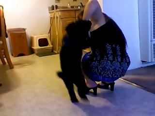 Beeg Porn Xxx Hd