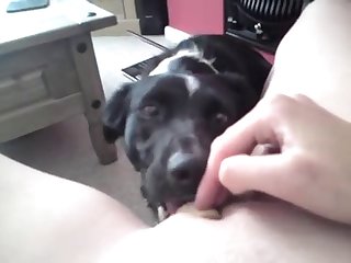 Forced Xxx Porn Movie