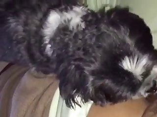 Emily Willis Porn Star Xxx