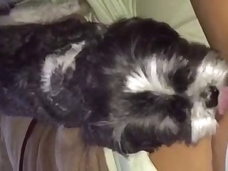 Emily Willis Porn Star Xxx