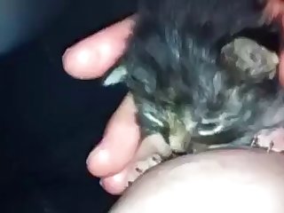 Adara Bears Xxx Porn