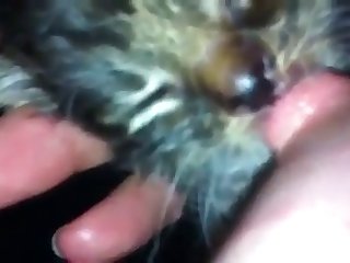 Adara Bears Xxx Porn