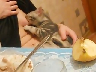 Bbw Mazzaratie Monica Lesbian Xxx Porn