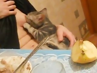 Bbw Mazzaratie Monica Lesbian Xxx Porn