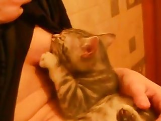 Bbw Mazzaratie Monica Lesbian Xxx Porn