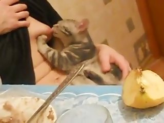 Bbw Mazzaratie Monica Lesbian Xxx Porn