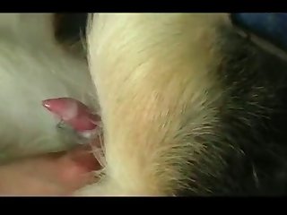 Ashley Ortega Xxx Porn