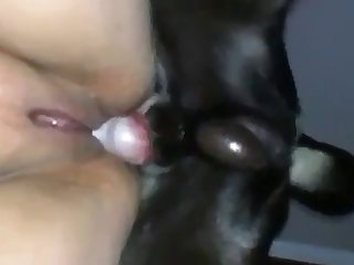 Gay Cum While Fucking Porn Xxx