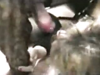 Fuck My Wife Xxx Porn