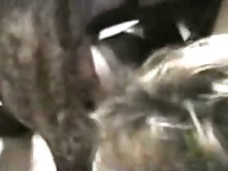 Fuck My Wife Xxx Porn